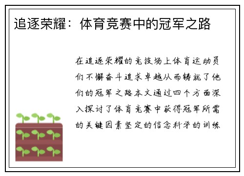 追逐荣耀：体育竞赛中的冠军之路